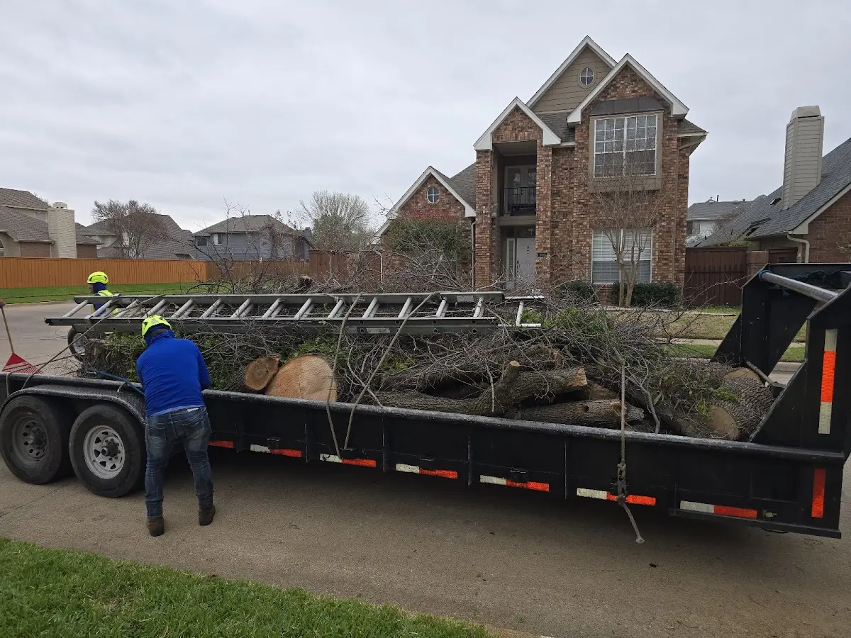 Expert Lot Clearing with proper safety equipment in Grimsley